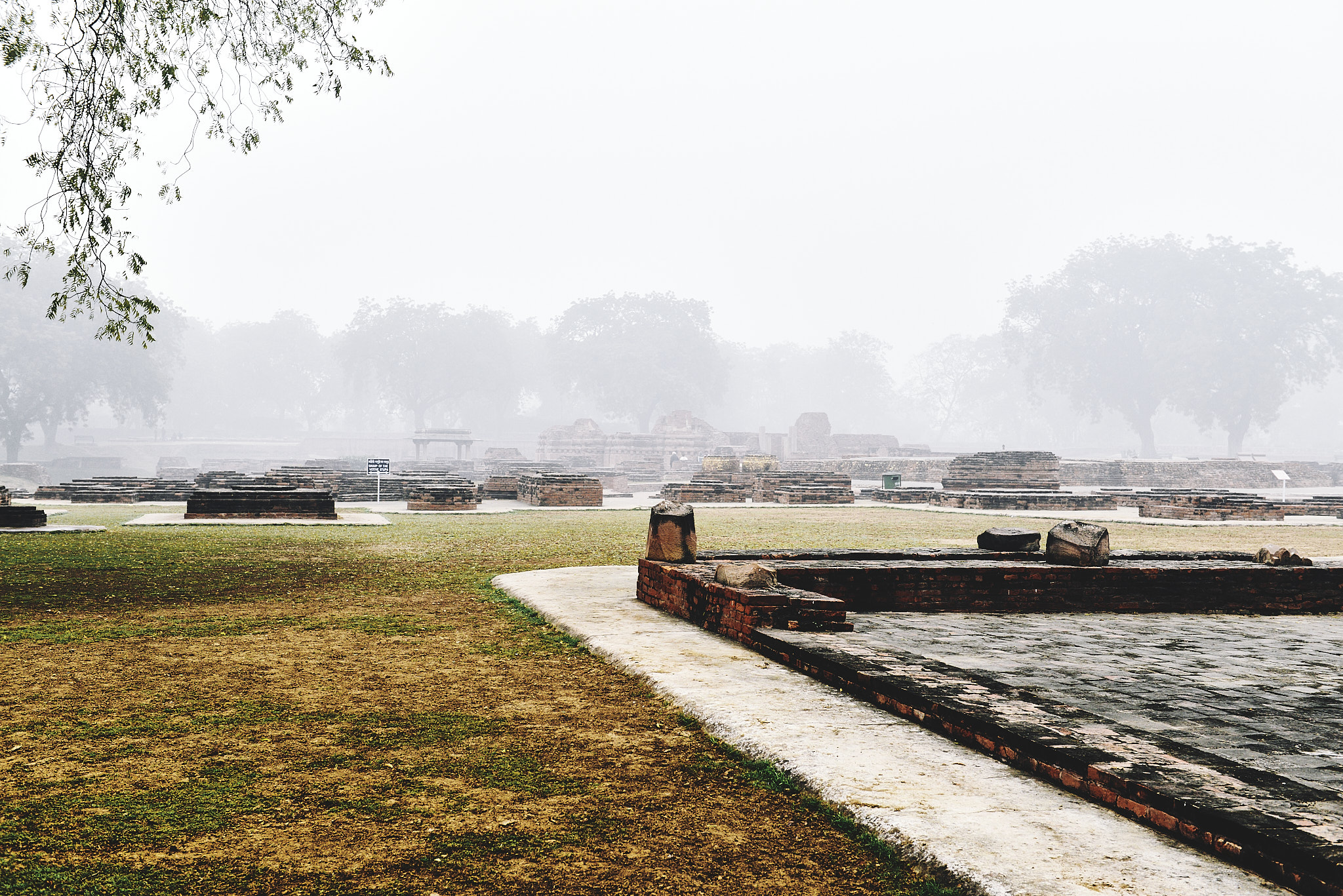 20140109 724 사르나트