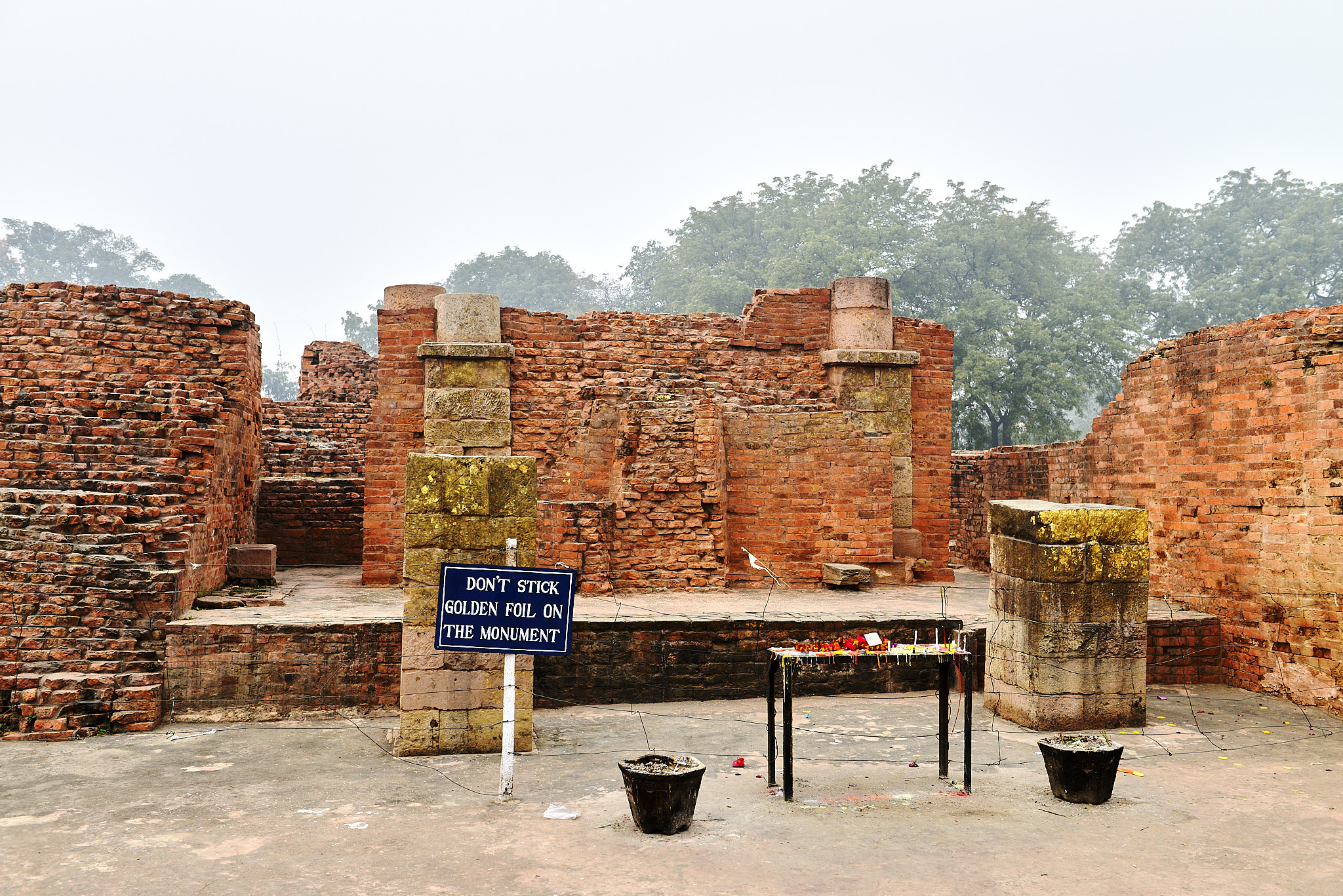 20140109 728 사르나트