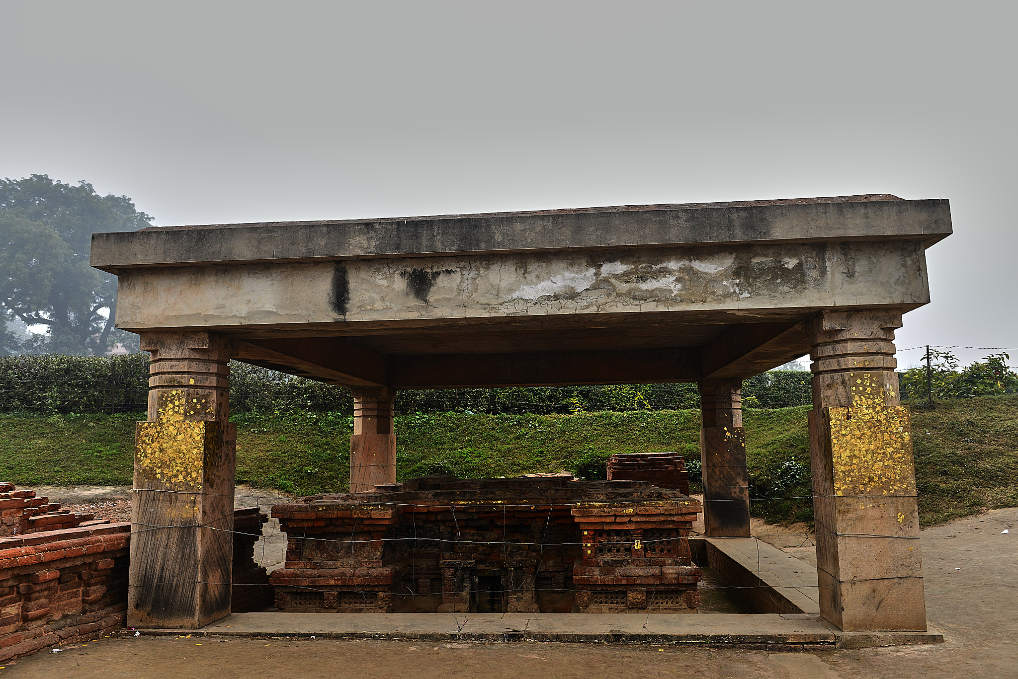 20140109 729 사르나트