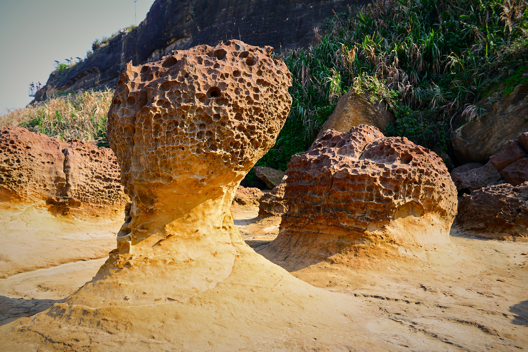 199 예류지질공원