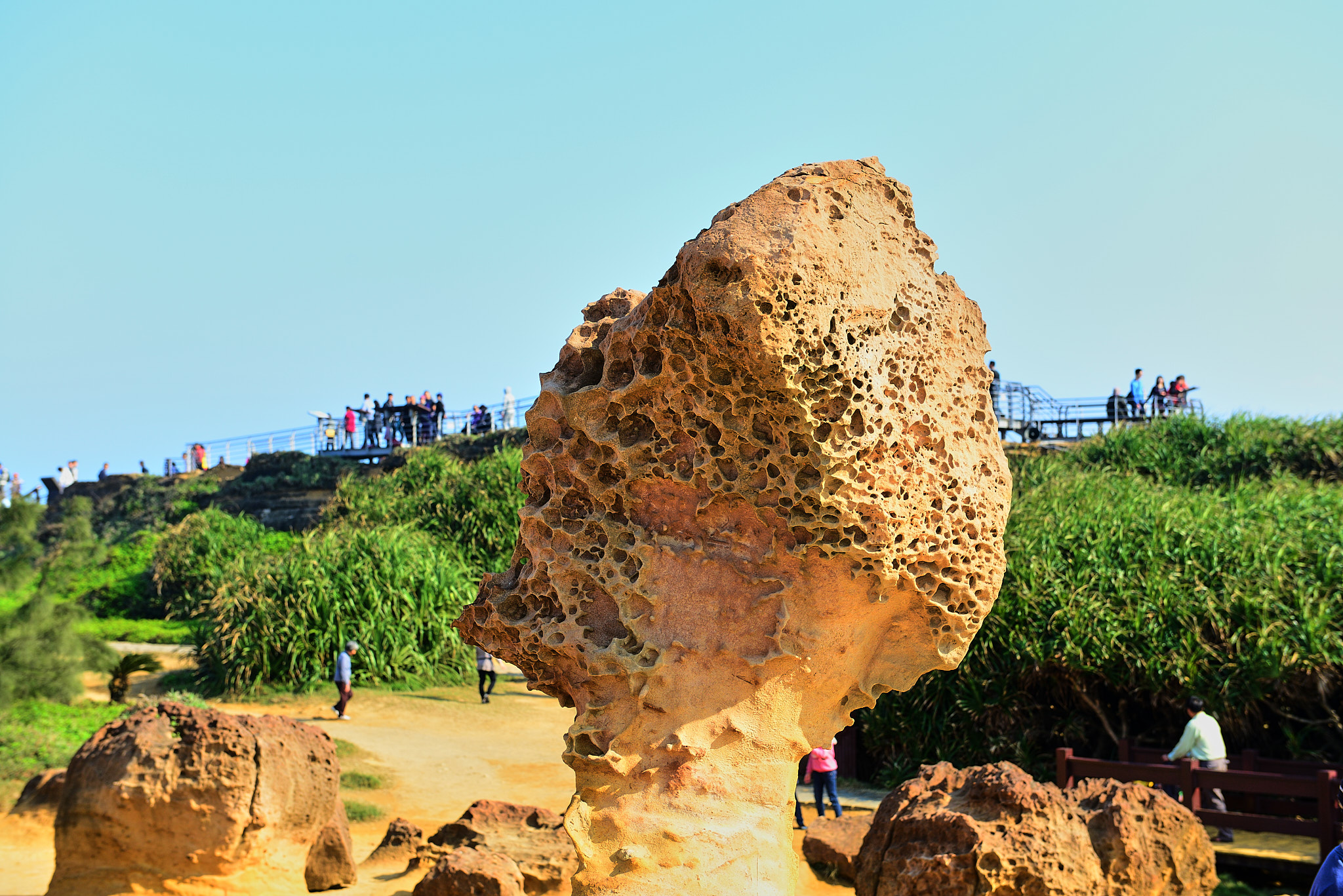 208 예류지질공원