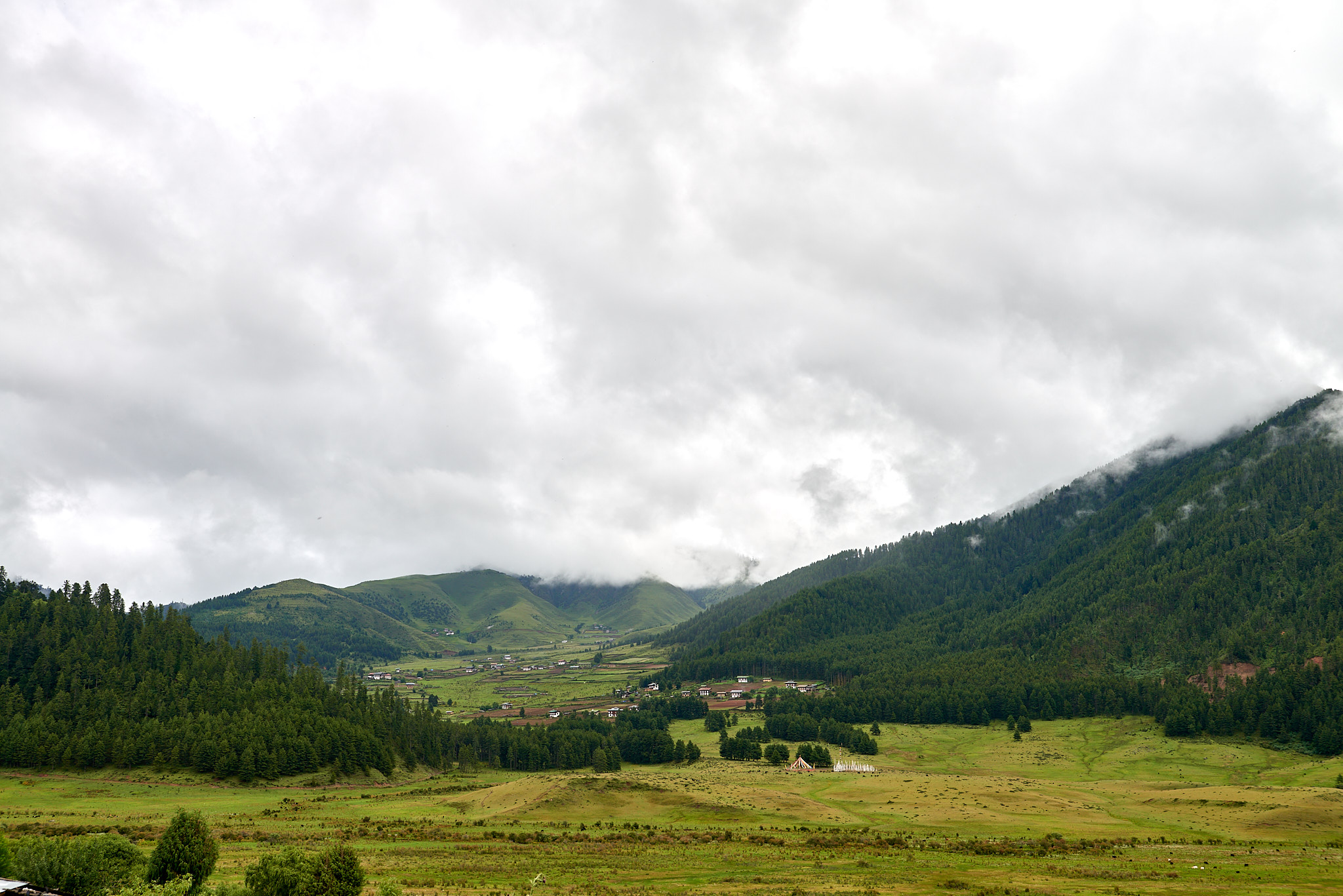 20170807 115 Gangtey