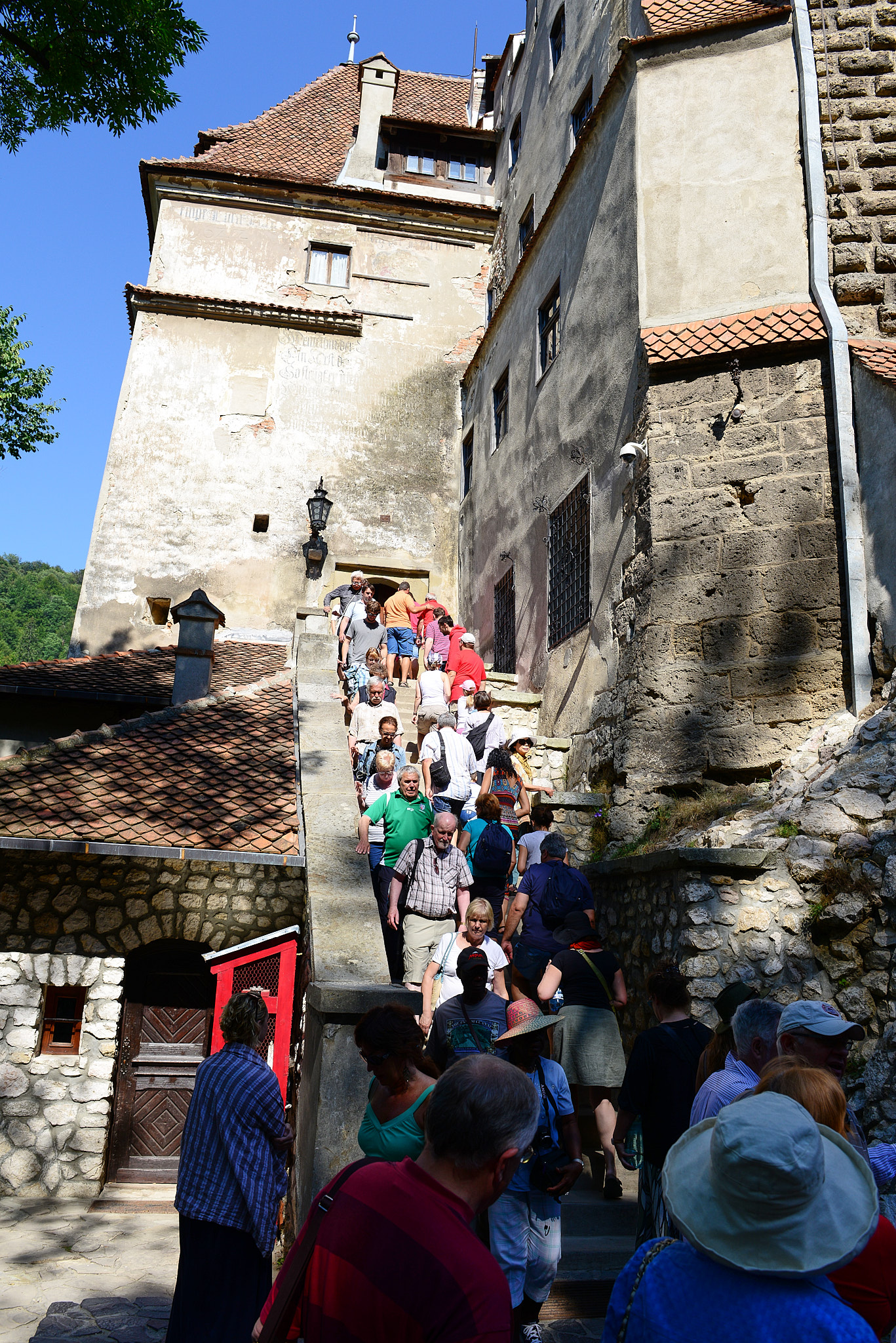 20130808 006 Bran 브란성